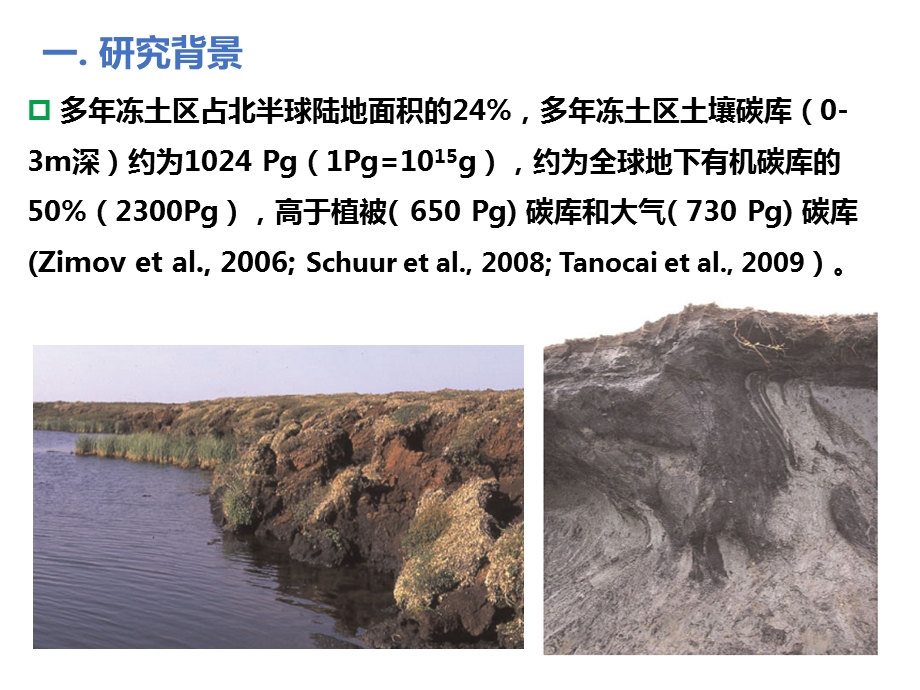 青藏高原多年冻土区土壤活性有机质的季节变化特征课件.pptx_第3页