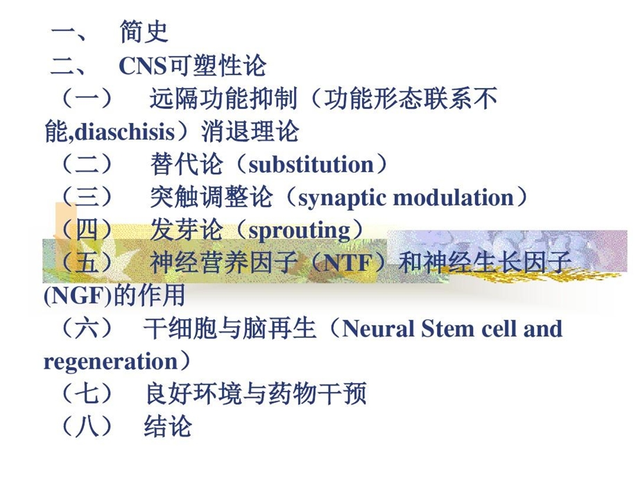 脑损伤恢复和康复的理论基础课件.ppt_第3页