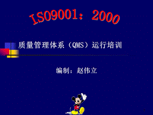 质量管理体系(QMS)运行培训课件.ppt