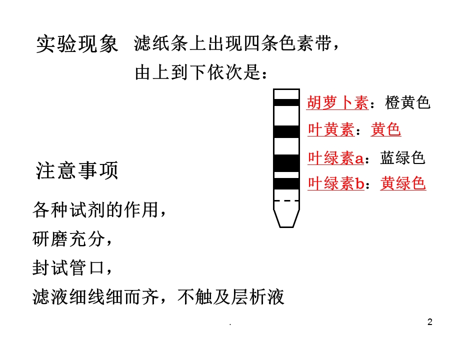 绿叶中色素的提取和分离课件.ppt_第2页