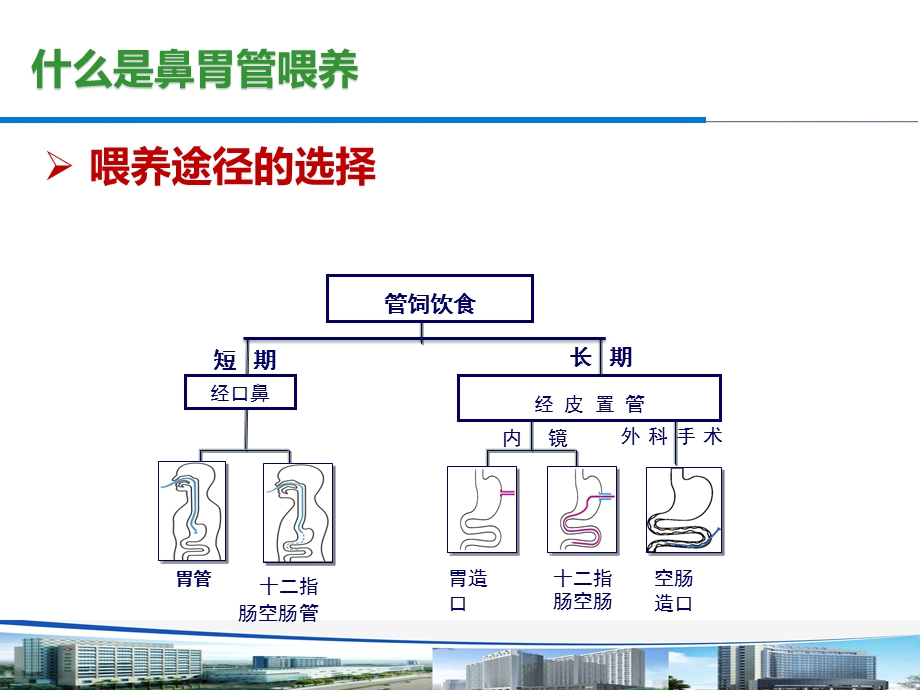 肠内营养课件.ppt_第2页