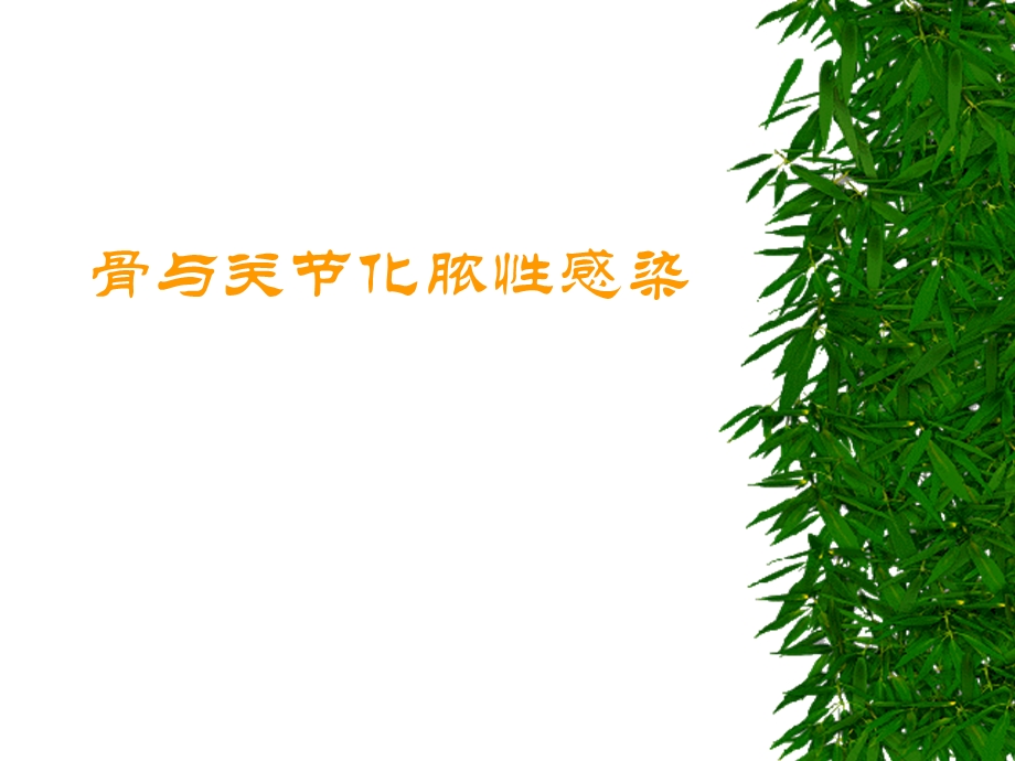 骨与关节化脓性感染课件.ppt_第1页