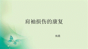 肩袖损伤的康复课件.ppt