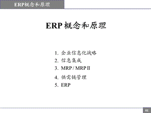 ERP概念与原理讲解PPT大全课件.ppt