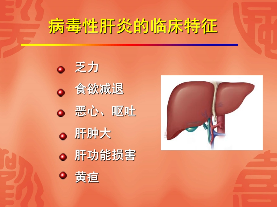 肝炎病毒课件.ppt_第2页