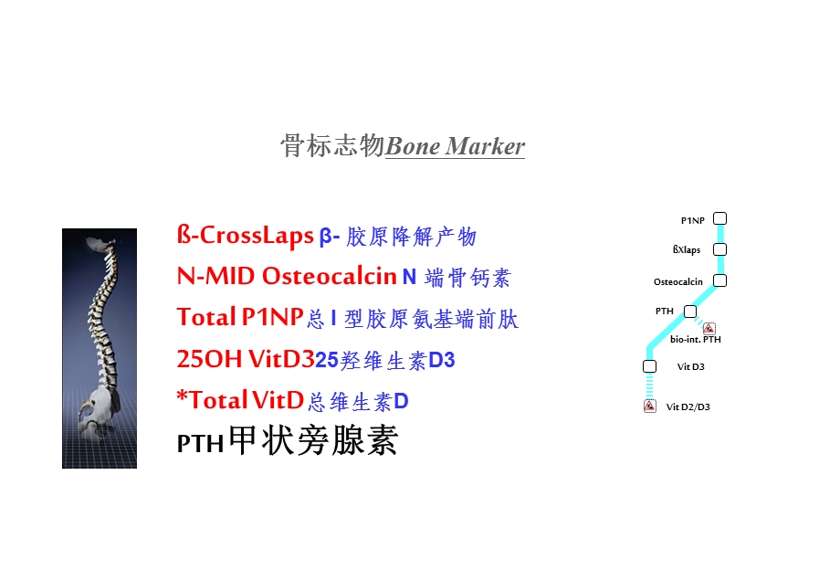 骨标志物临床应用ppt课件.ppt_第1页