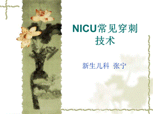 NICU常见穿刺技术 讲义课件.ppt