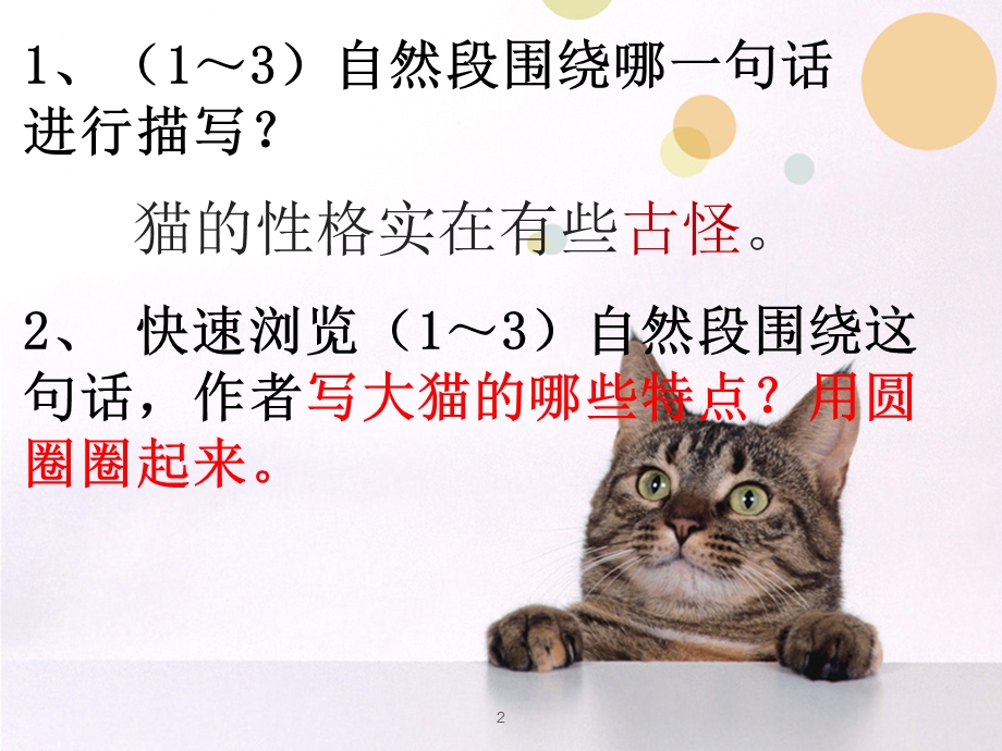 老舍猫二时课件.pptx_第2页