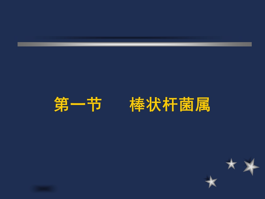 需氧革兰阳性杆菌及检验课件.ppt_第3页