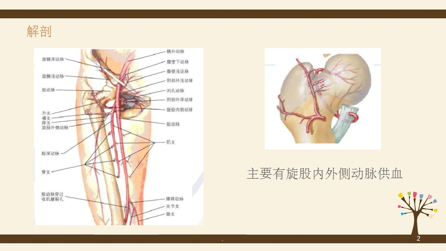 股骨头坏死课件.pptx_第2页