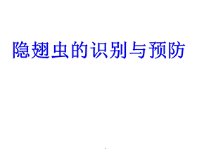 隐翅虫的识别与预防课件.ppt