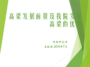 高粱发展前景及我院发展高粱课件.ppt