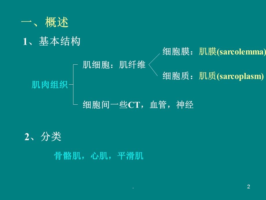 肌肉组织课件.ppt_第2页