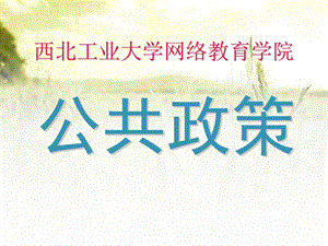 《公共政策》全套PPT课件.ppt