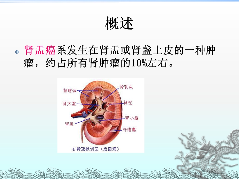 肾盂癌课件.ppt_第2页