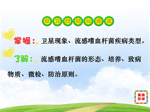 《嗜血杆菌属》课件.ppt