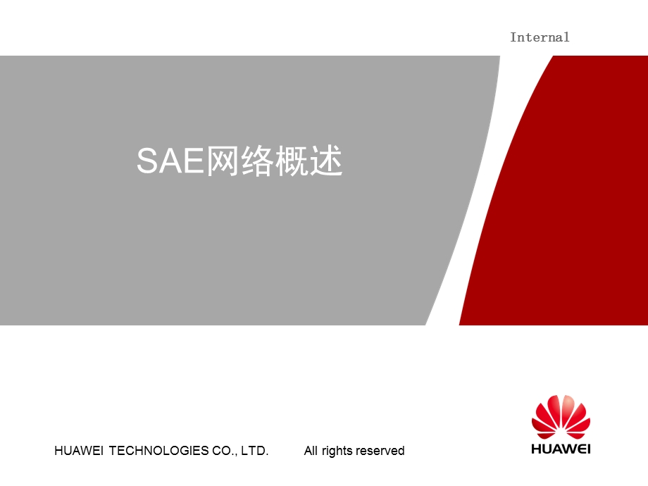 SAE网络概述(课件).ppt_第1页