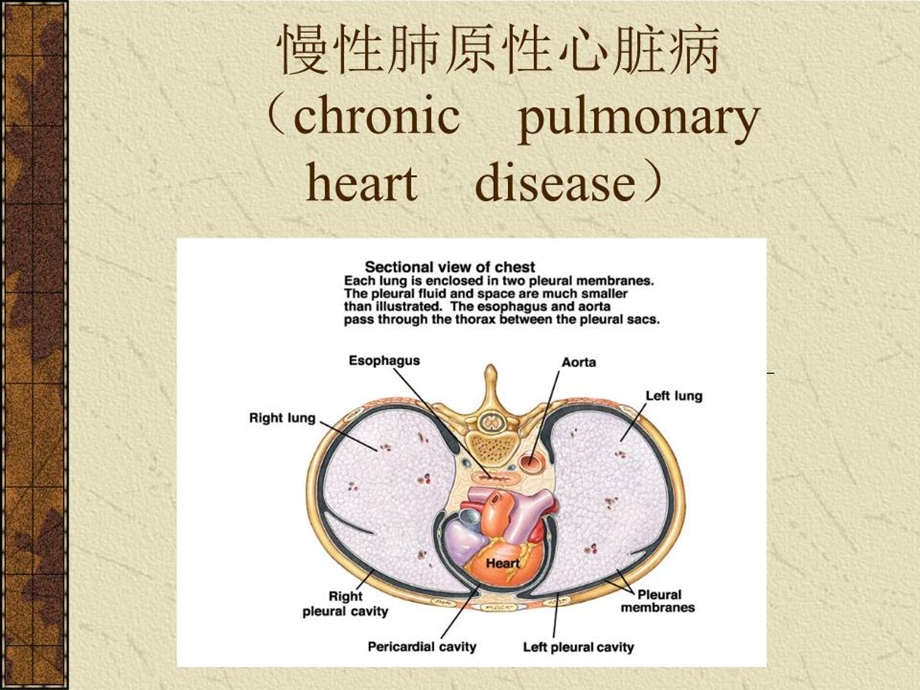 《慢性肺原性心脏病》课件.ppt_第1页