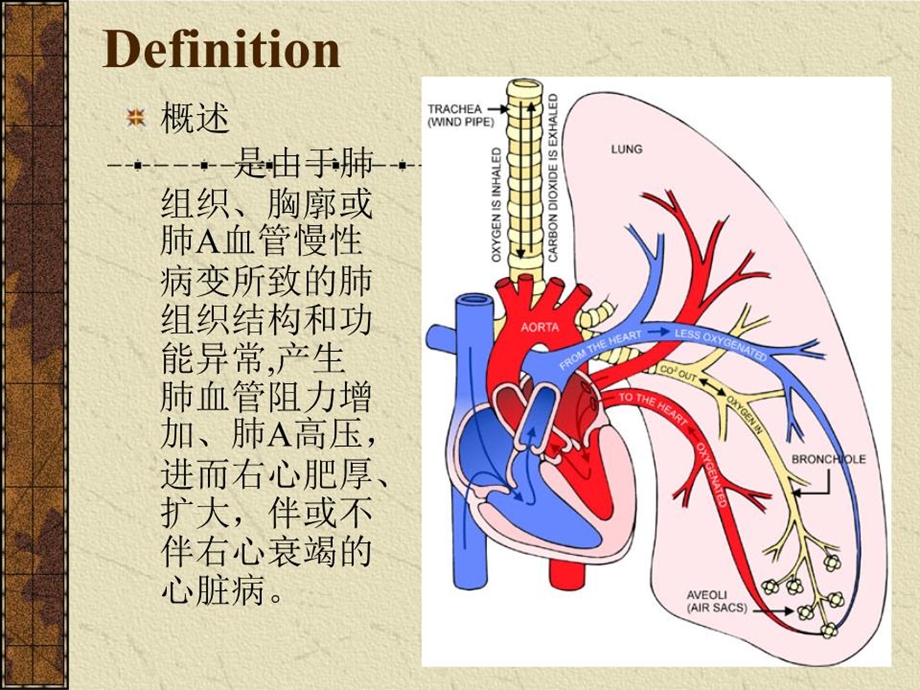 《慢性肺原性心脏病》课件.ppt_第2页