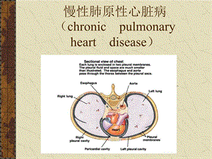 《慢性肺原性心脏病》课件.ppt