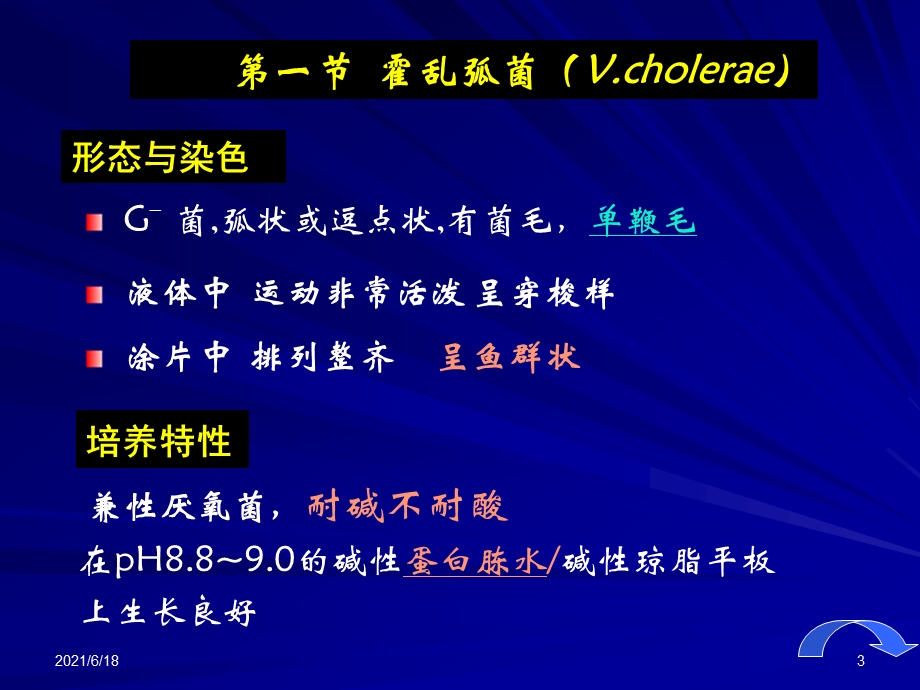 《医学微生物学》第8章-弧菌属课件.ppt_第3页