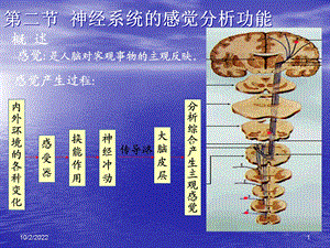 [临床医学]神经系统感觉运动课件.ppt