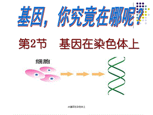 zh基因在染色体上课件.ppt