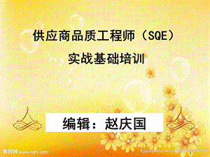 SQE实战基础培训课件.ppt