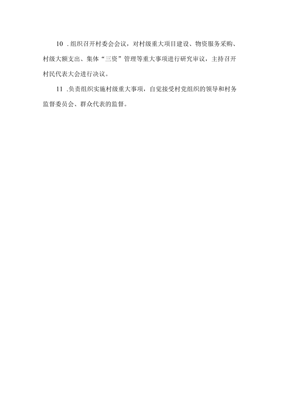 村民委员会主任责任清单.docx_第2页