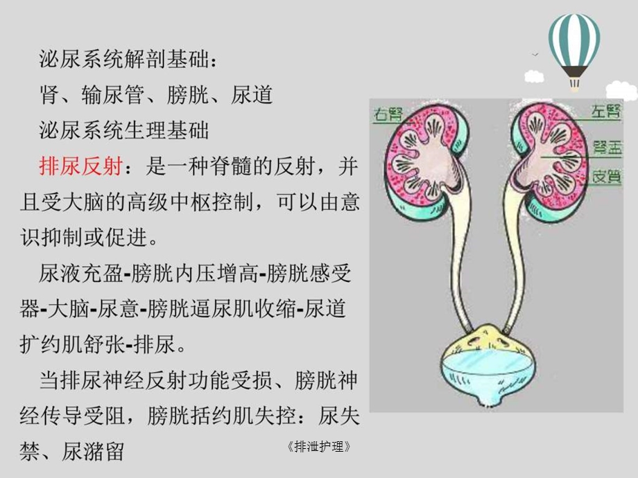 《排泄护理》课件.ppt_第3页