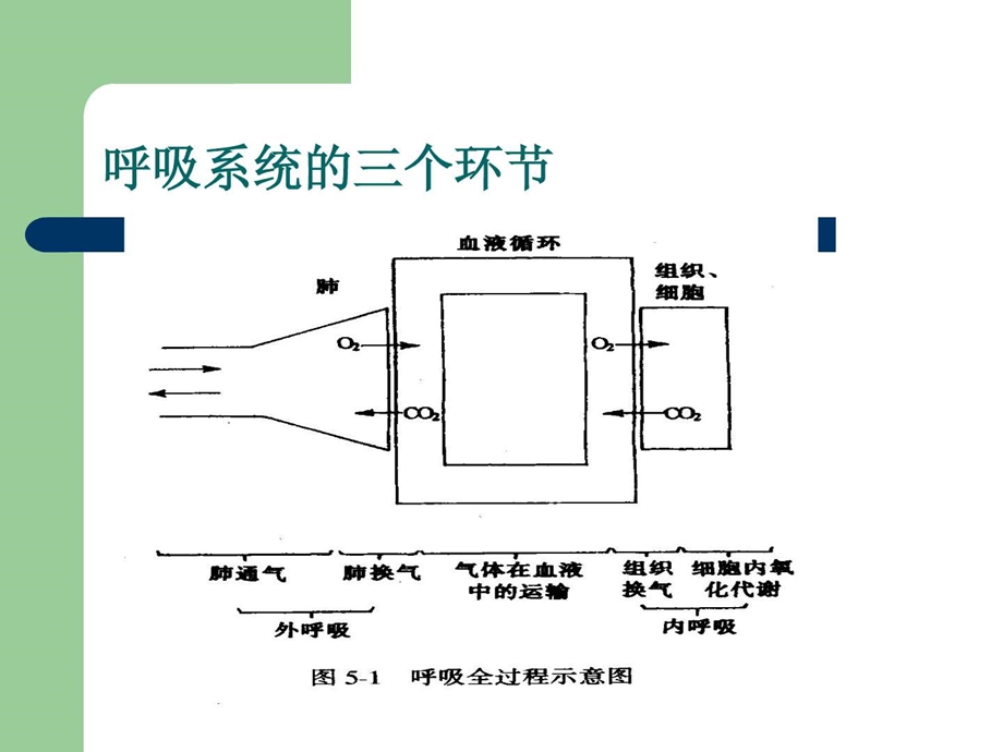 《氧气吸入法》课件.ppt_第2页