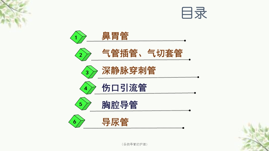 《各类导管的护理》课件.ppt_第2页