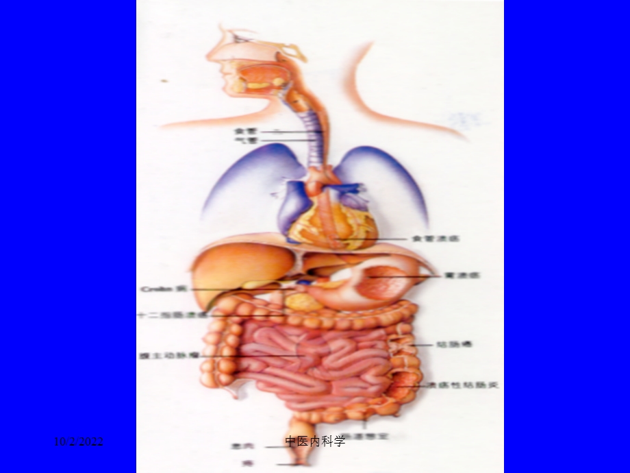 [医学]中医内科学课件23腹痛.ppt_第2页