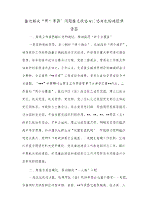 推动解决“两个薄弱”问题 推进政协专门协商机构建设供借鉴.docx