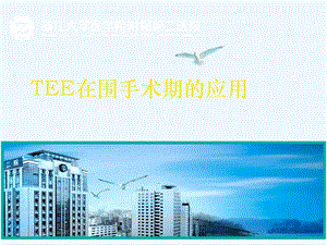 TEE在围手术期应用课件.ppt