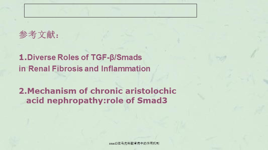 smad3在马兜铃酸肾病中的作用机制课件.ppt_第2页