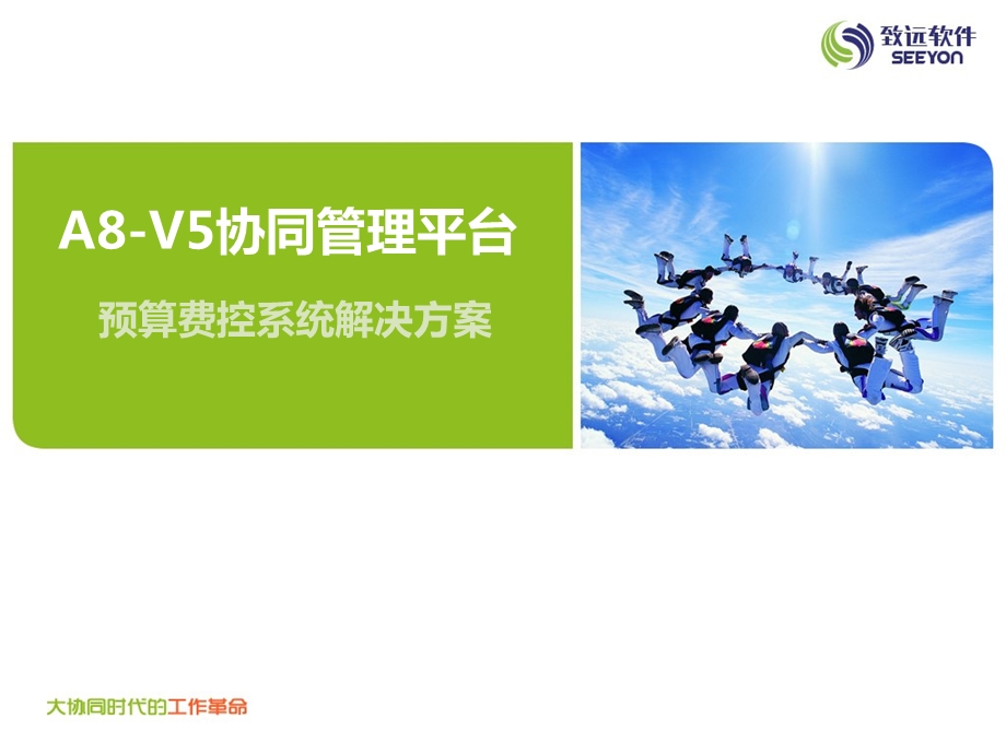 V5预算费控项目解决方案.ppt_第1页