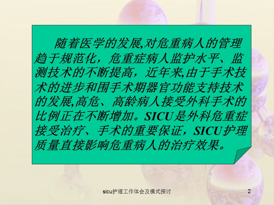 sicu护理工作体会及模式探讨课件.ppt_第2页