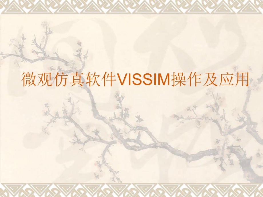 VISSIM-仿真课讲稿课件.ppt_第1页