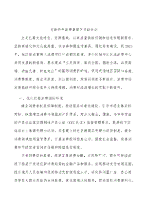 打造特色消费集聚区行动计划.docx