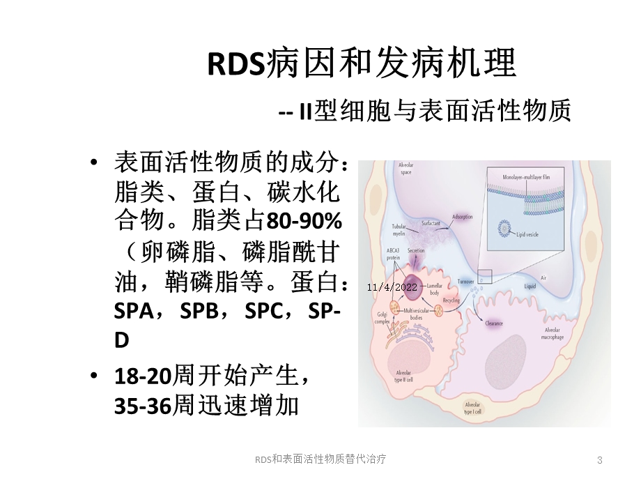 RDS和表面活性物质替代治疗课件.ppt_第3页