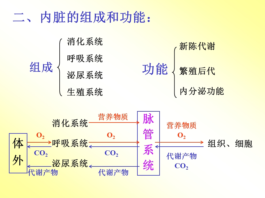 《内脏总论》课件.ppt_第3页