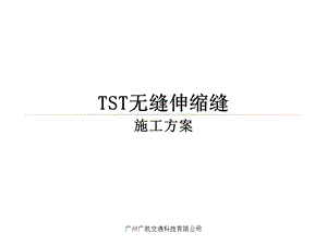 TST无缝伸缩缝施工方案.ppt