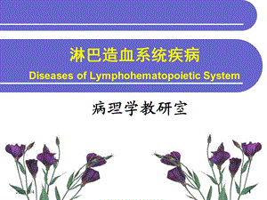 [病理学]淋巴造血系统疾病剖析课件.ppt