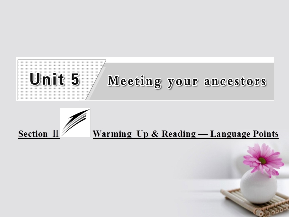 Unit5MeetingyourancestorsSectionⅡWarmingUpReading_LanguagePoints课件新人教版选修8.ppt_第1页