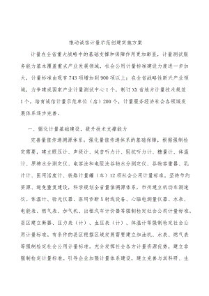 推动诚信计量示范创建实施方案.docx