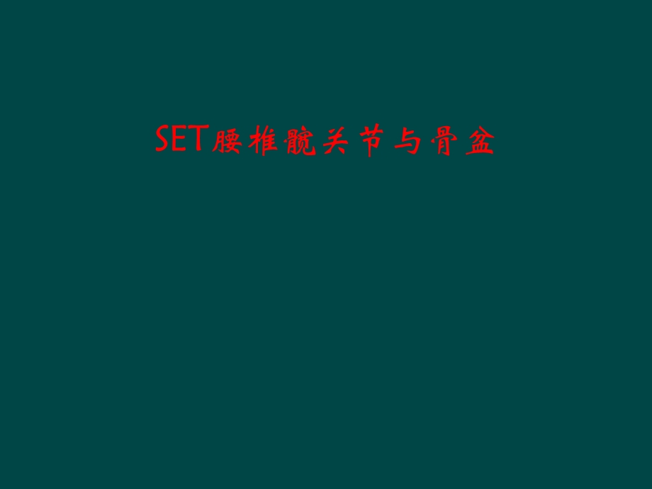 SET腰椎髋关节和骨盆课件.ppt_第1页