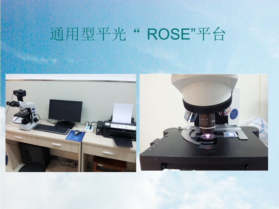 ROSE在肿瘤方面的应用课件模板.ppt_第3页