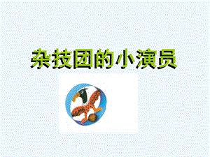 《杂技团的小演员》课件.ppt