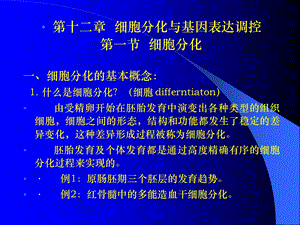 W12细胞分化与基因表达调控课件.ppt